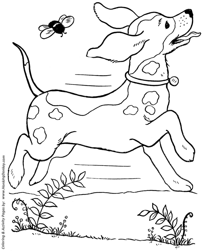 Dog Coloring Page