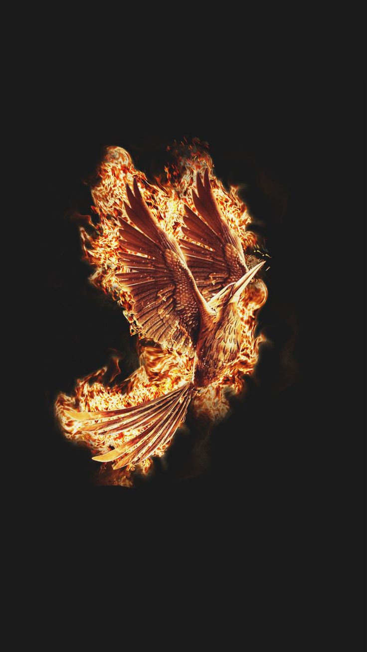 Papel de Parede para Celular Hunger Games