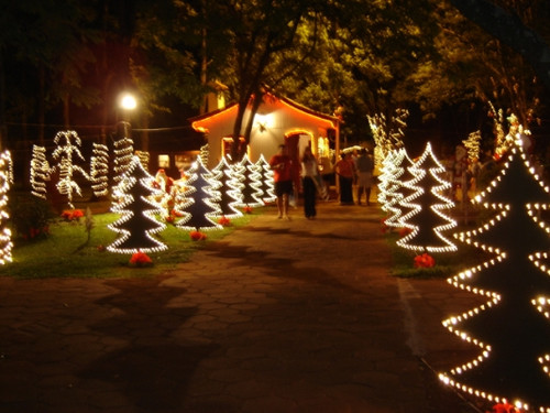 Decoração De Natal Area Externa Jardim