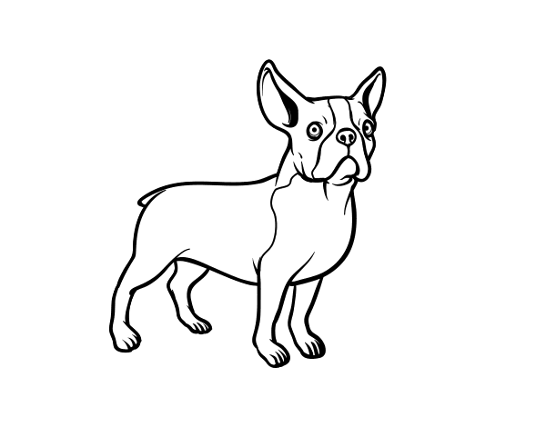 Desenho de Bulldog para Colorir