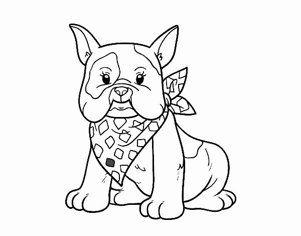 Desenho de Bulldog para Colorir