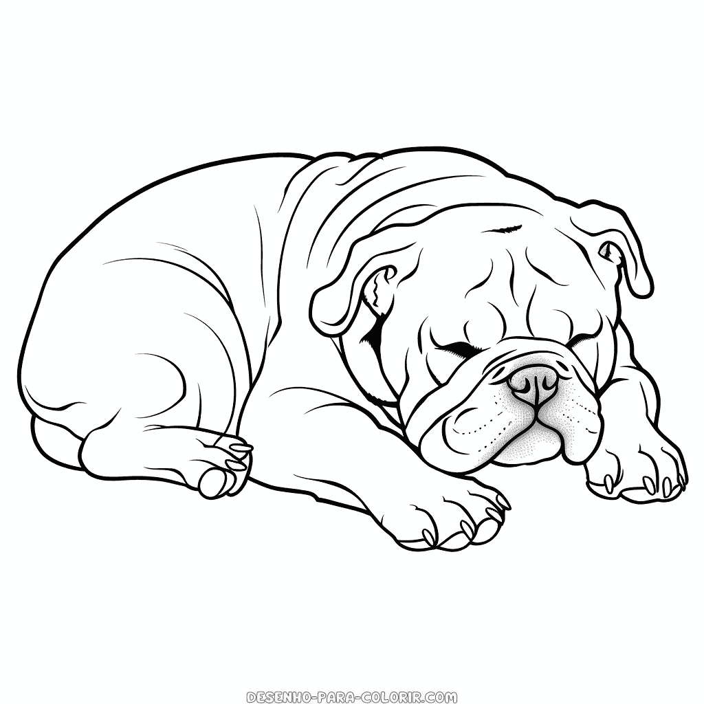 Desenho de Bulldog para Colorir