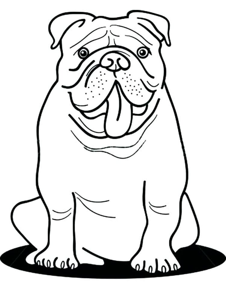 Desenho de Bulldog para Colorir