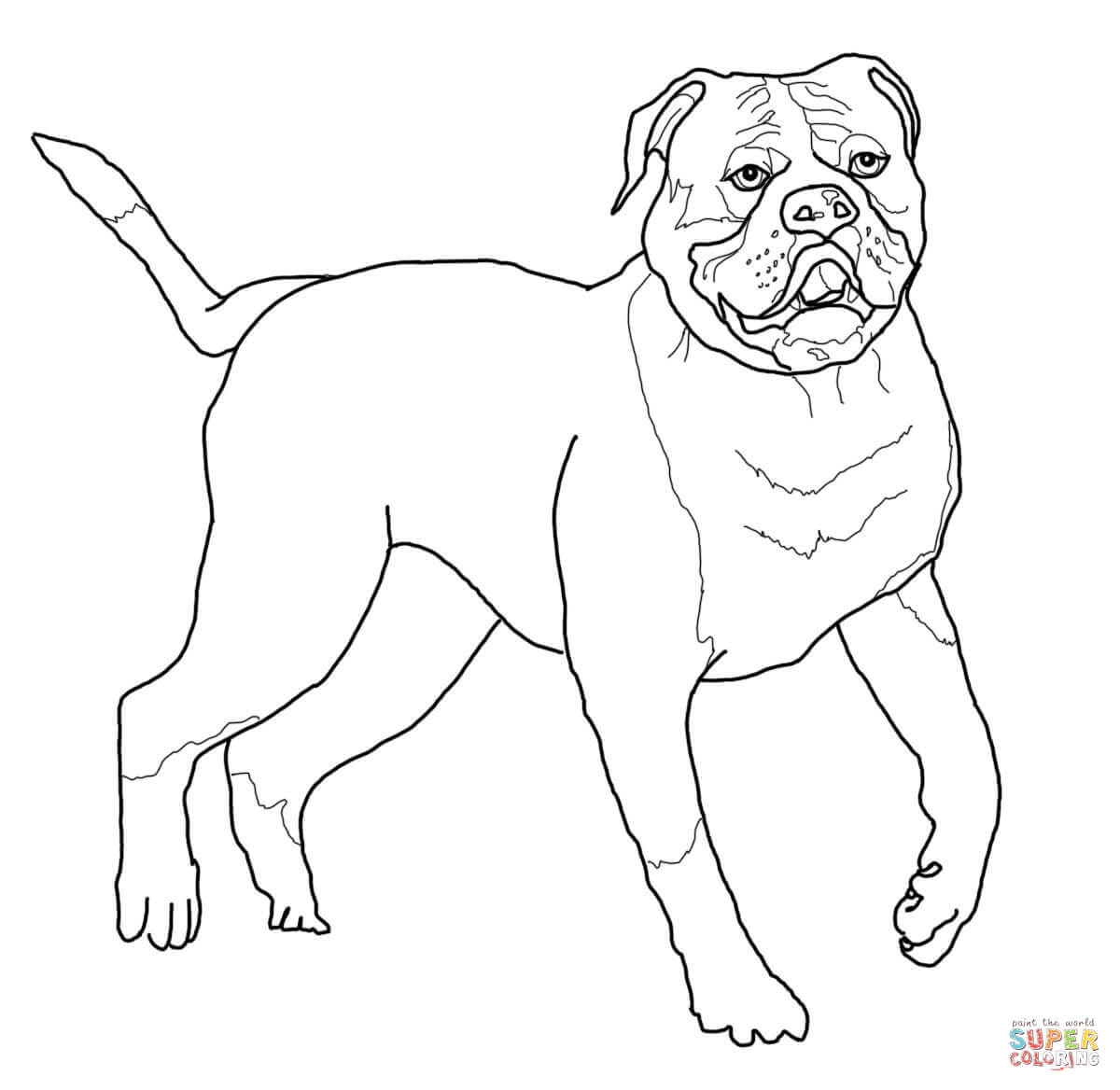 Desenho de Bulldog para Colorir