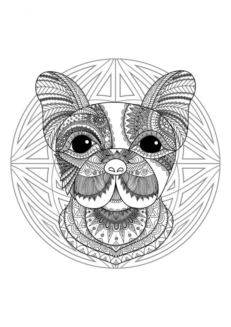 Desenho de Bulldog para Colorir