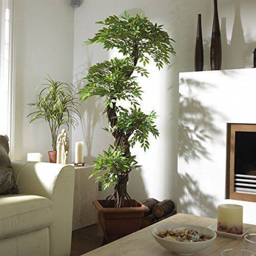 Decoration with Artificial Plants