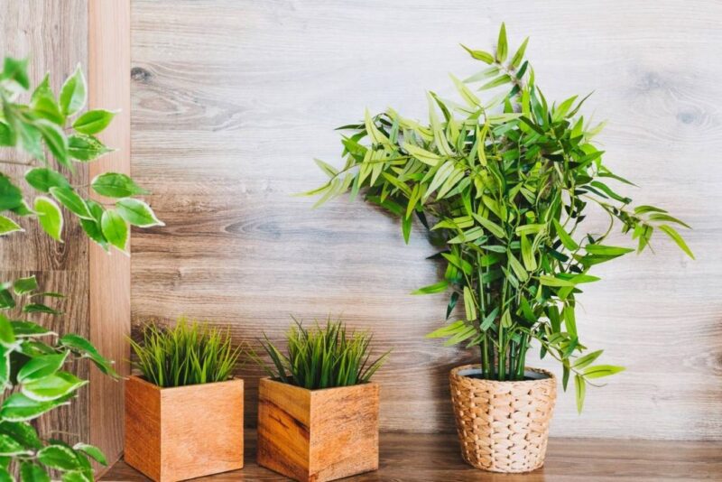 Decoração com Plantas Artificiais