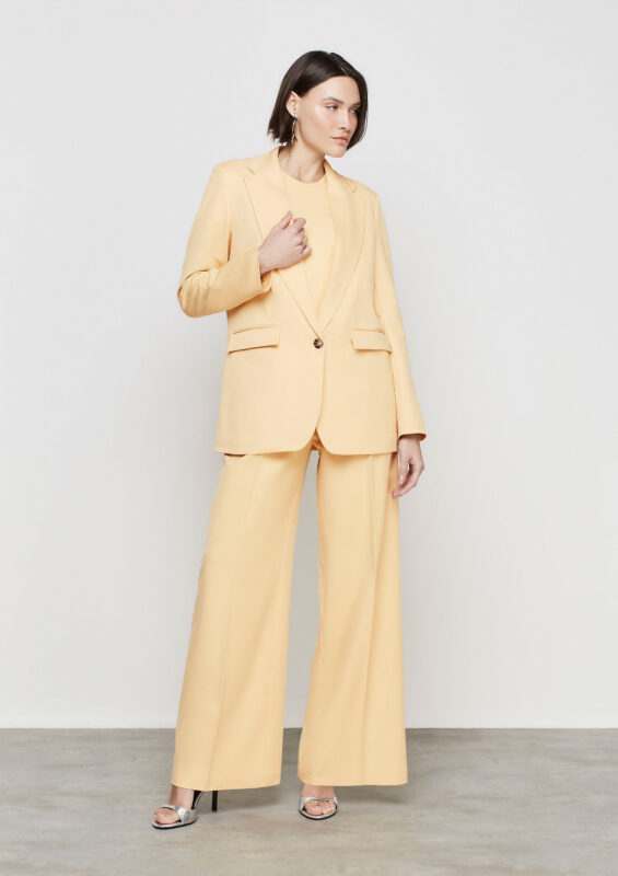 look-com-blazer-amarelo-feminino