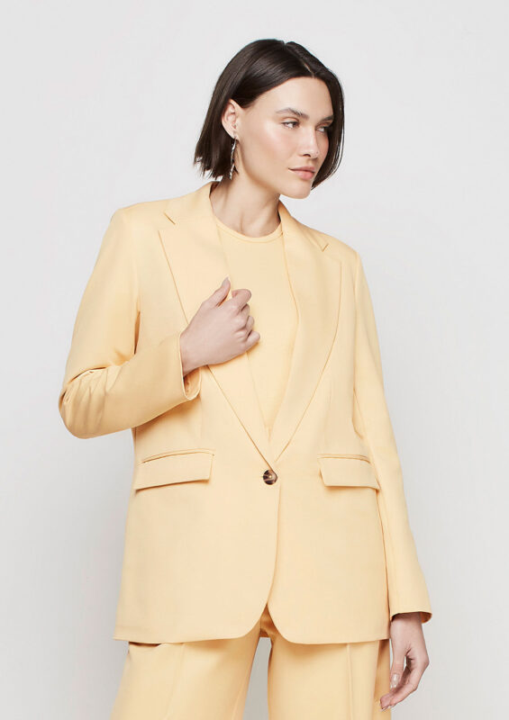 look-com-blazer-amarelo-feminino