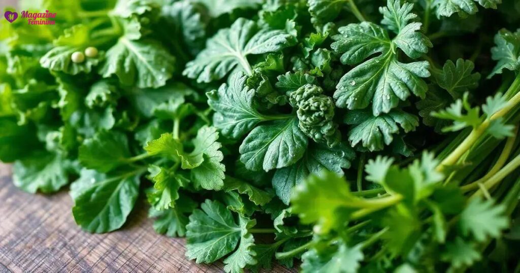 Verduras que ajudam na digestão