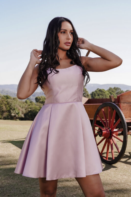 Festa Curto Rose Aurea Dress Vestido ...