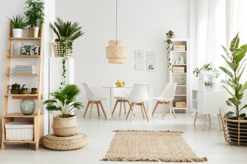 Decoração com plantas na sala: 6 ...