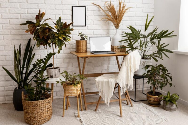 as plantas na decoração da sua casa ...