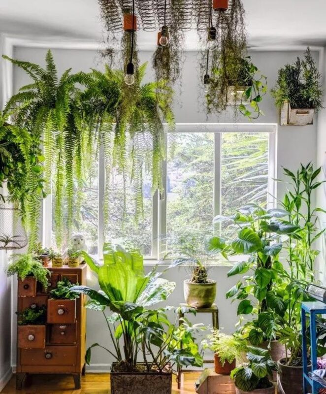 jardim dentro de casa ...