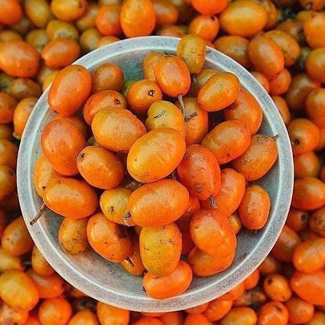 Seriguela: a doce frutinha do Nordeste ...