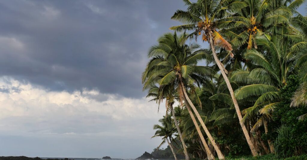Refúgios nordestinos onde a natureza assume o protagonismo Vista de coqueiros em uma praia com nuvens escuras ao fundo